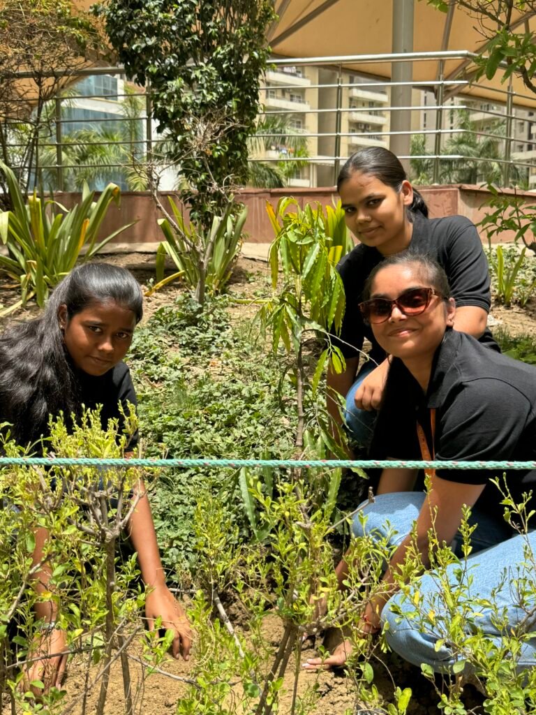 Planting tree on 5th June